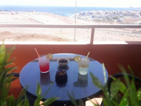 Burrero Seasight, Ingenio
